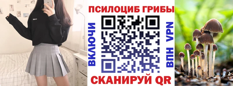 Галлюциногенные грибы Psilocybine cubensis  Купить  Аша 