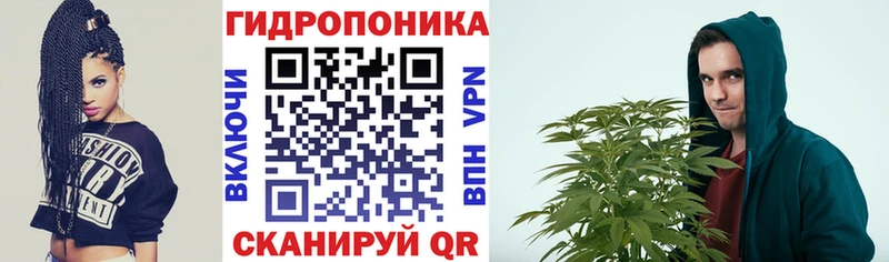 Купить где  Аша  Бошки марихуана MAZAR 